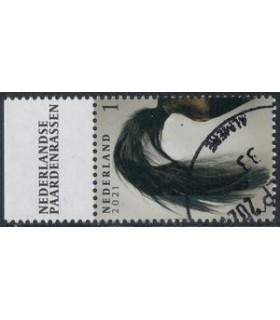 3969 Paardenrassen Staart (o) TAB