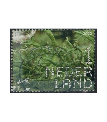 4047 Beleef de natuur Rendiermos (o)