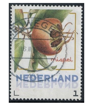 Vruchten Mispel (o)