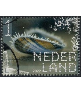 3997 Beleef de natuur Mossel (o)