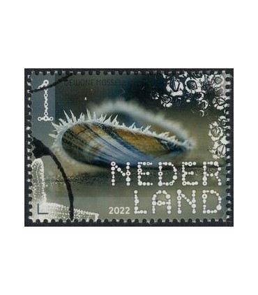 3997 Beleef de natuur Mossel (o)