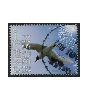 3992 Beleef de natuur Meeuw (o)