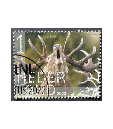 4043 Beleef de natuur Edelhert (o)