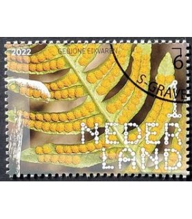 4048 Beleef de natuur Eikvaren (o)