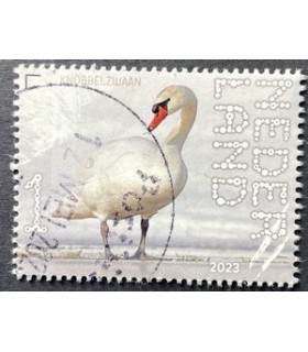 4075 Beleef de natuur Knobbelzwaan (o)