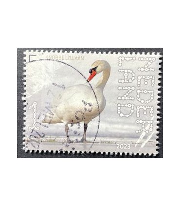 4075 Beleef de natuur Knobbelzwaan (o)