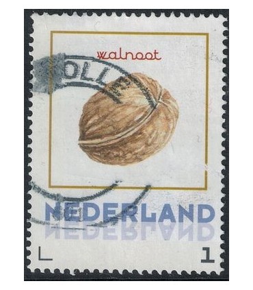 Vruchten Walnoot (o)