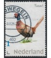 Dieren Fazant (o)