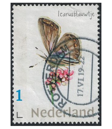 Vlinder Icarusblauwtje (o)