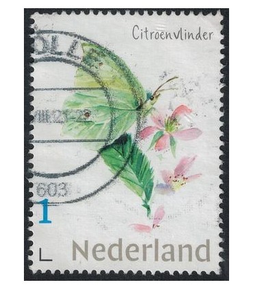Vlinder Citroenvlinder (o)