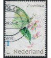 Vlinder Citroenvlinder (o)