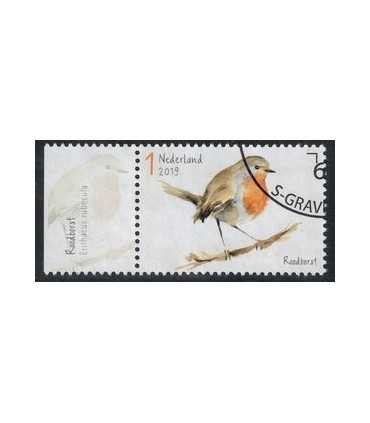 3745 Tuinvogels roodborst (o) TAB c