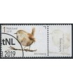 3744 Tuinvogels winterkoning (o) TAB c
