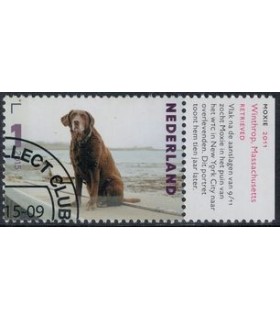 3336 Charlotte Dumas Moxie (o) TAB c