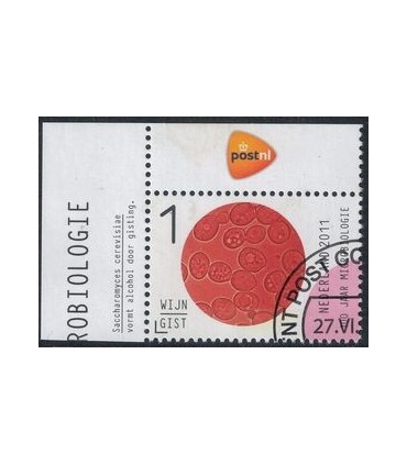 2834 Microbiologie Wijn Gist (o) TAB c