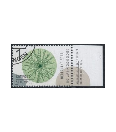 2841 Microbiologie compost (o) TAB c