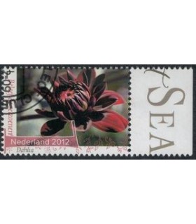 2960 Beleef de seizoenen dahlia (o) TAB c