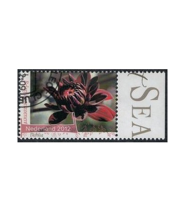 2960 Beleef de seizoenen dahlia (o) TAB c