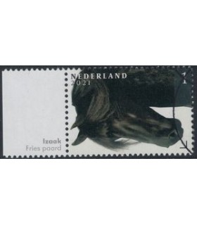 3965 Paardenrassen Fries paard (o) TAB