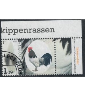 3489 Kippenrassen Lakenvelder (o) TAB c