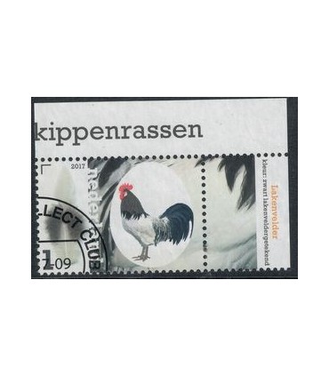 3489 Kippenrassen Lakenvelder (o) TAB c