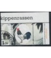 3489 Kippenrassen Lakenvelder (o) TAB c