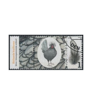 3490 Kippenrassen Kuifhoen (o) TAB c