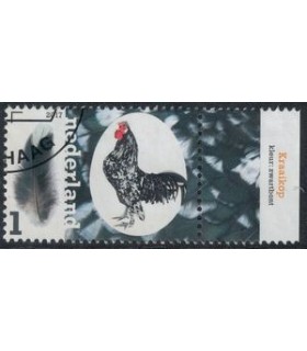 3491 Kippenrassen Kraaikop (o) TAB c