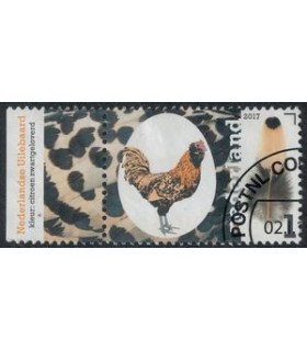 3492 Kippenrassen Uilebaard (o) TAB c