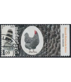 3493 Kippenrassen NH Hoen (o) TAB c