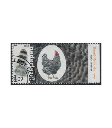 3493 Kippenrassen NH Hoen (o) TAB c