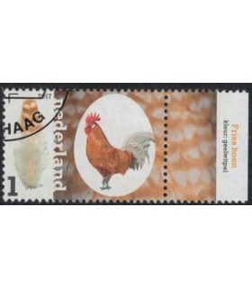 3495 Kippenrassen Fries Hoen (o) TAB c