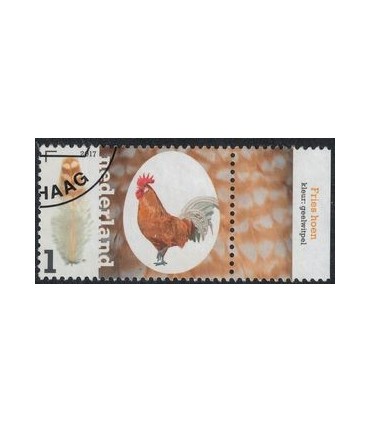 3495 Kippenrassen Fries Hoen (o) TAB c