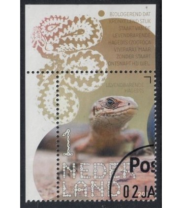 3601 Beleef de natuur Hagedis (o) TAB c