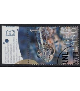 3602 Beleef de natuur Rugstreeppad (o) TAB c