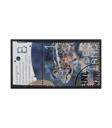 3602 Beleef de natuur Rugstreeppad (o) TAB