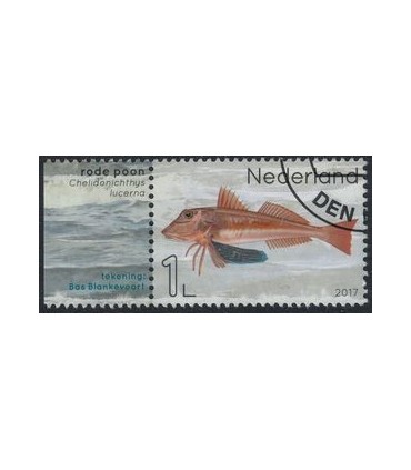 3551 Leven in de Noordzee rode poon (o) TAB