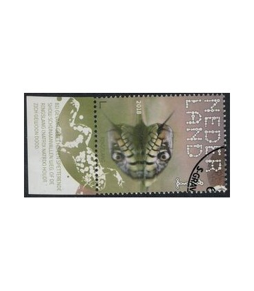 3608 Beleef de natuur Ringslang (o) TAB