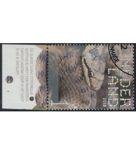 3607 Beleef de natuur Gladde slang (o) TAB c