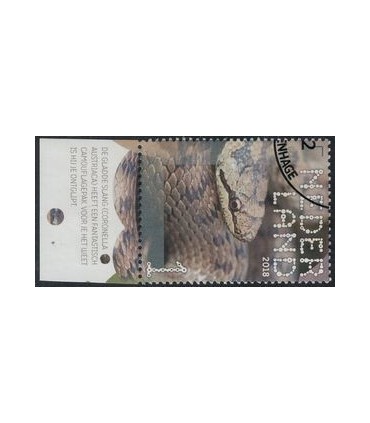 3607 Beleef de natuur Gladde slang (o) TAB c