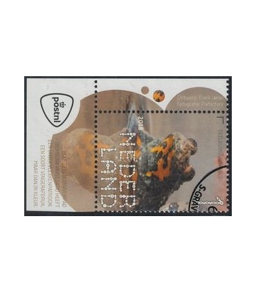 3606 Beleef de natuur Geelbuikvuurpad (o) TAB