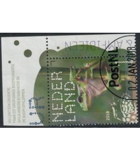 3605 Beleef de natuur Boomkikker (o) TAB c