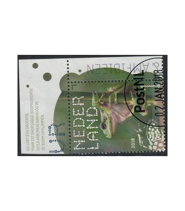 3605 Beleef de natuur Boomkikker (o) TAB c