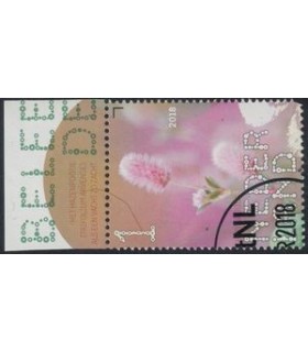 3633 Beleef de natuur HazenPootje (o) TAB c