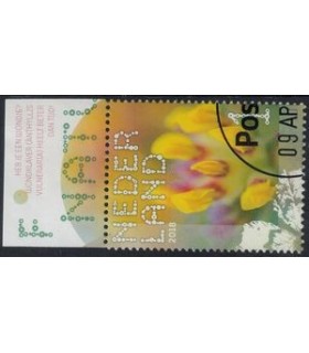 3634 Beleef de natuur Wondklaver (o) TAB c