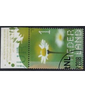 3635 Beleef de natuur Madeliefje (o) TAB c