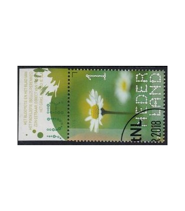 3635 Beleef de natuur Madeliefje (o) TAB c