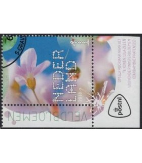 3637 Beleef de natuur Pinksterbloemen (o) TAB c