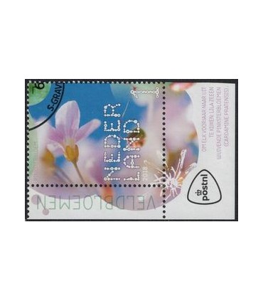 3637 Beleef de natuur Pinksterbloemen (o) TAB c