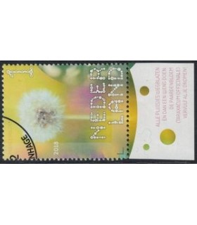 3640 Beleef de natuur Paardenbloem (o) TAB c